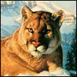 Victor